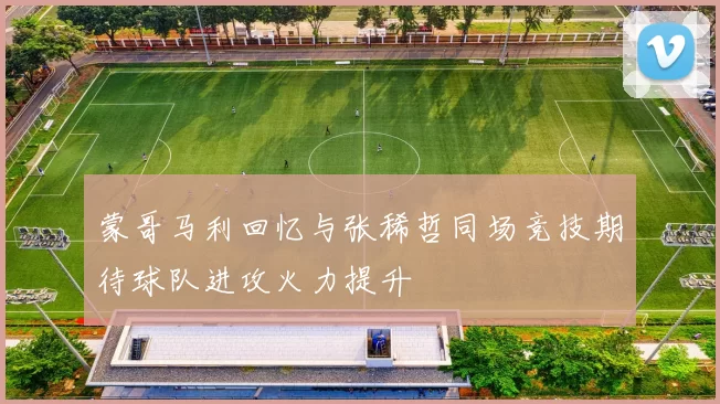 蒙哥马利回忆与张稀哲同场竞技期待球队进攻火力提升